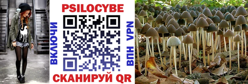 Псилоцибиновые грибы Psilocybine cubensis  omg как войти  Малаховка 
